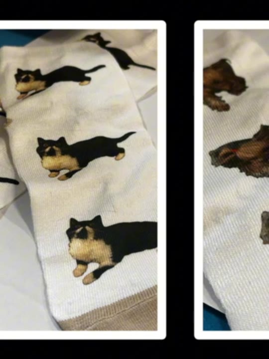 Чорапи с котки — Magic Socks